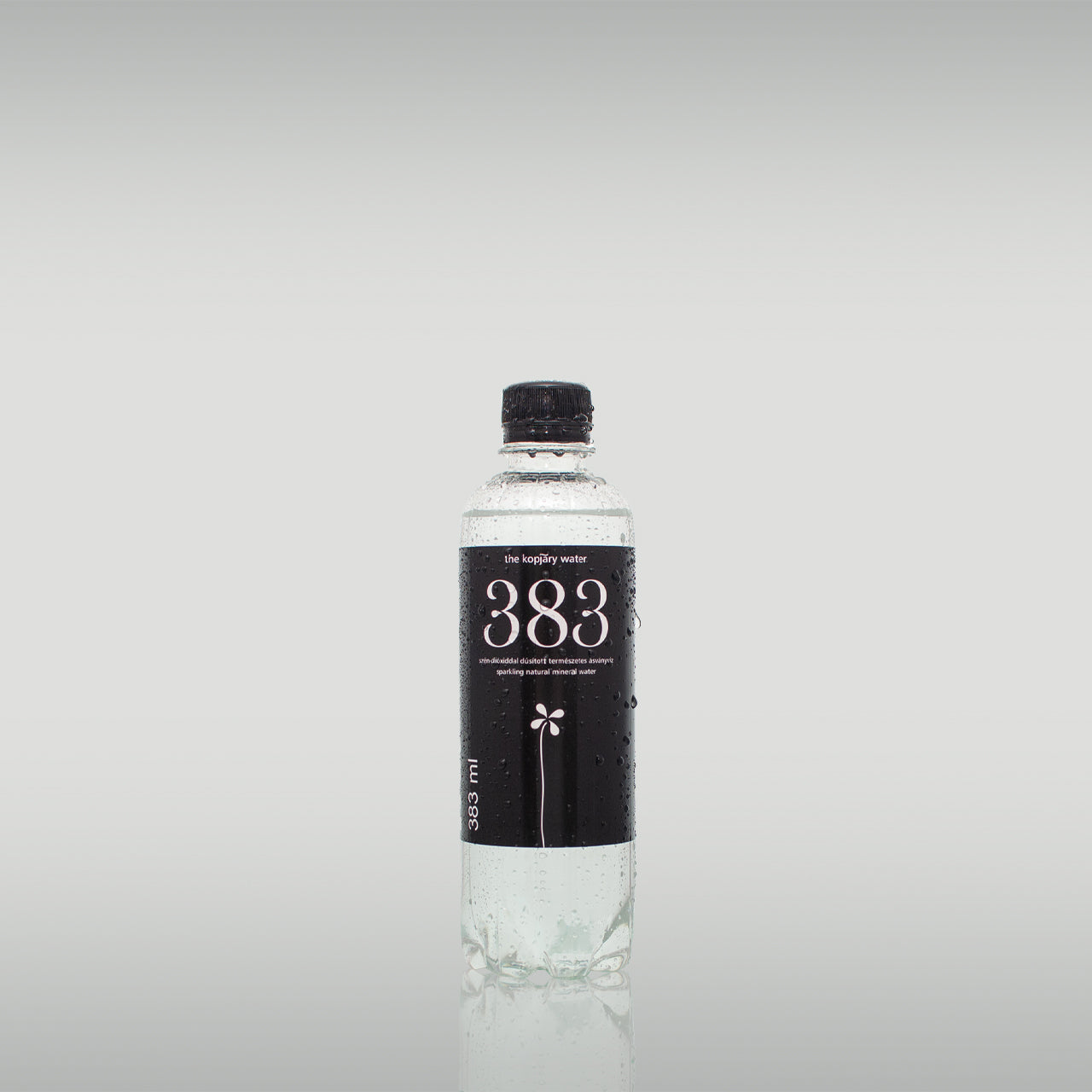 383 the kopjary water minerálna voda obohatená o CO2 383 ml