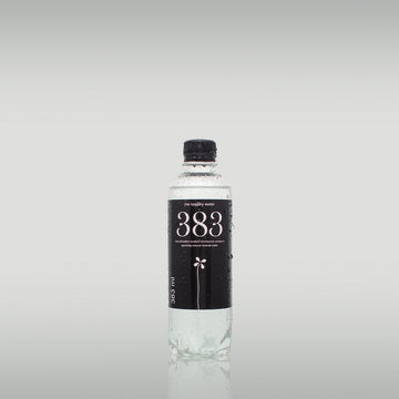 383 the kopjary water minerálna voda obohatená o CO2 383 ml