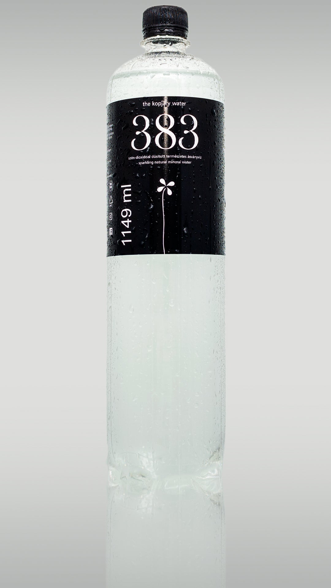 383 the kopjary water minerálna voda obohatená o CO2 1149 ml