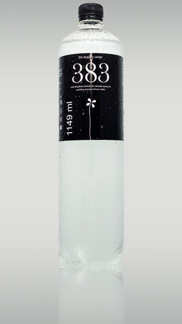 383 the kopjary water minerálna voda obohatená o CO2 1149 ml