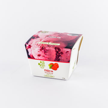 All in zmrzlina jahody 120 g
