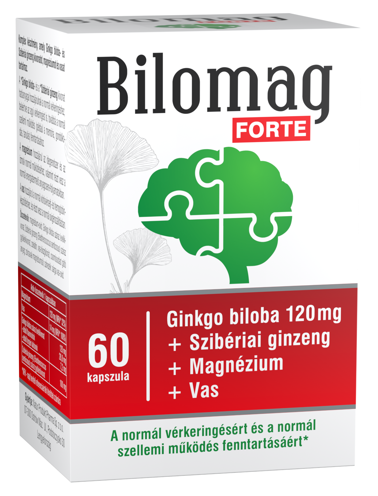 Balenie forte 120 mg gingko biloba extract 60 kusov
