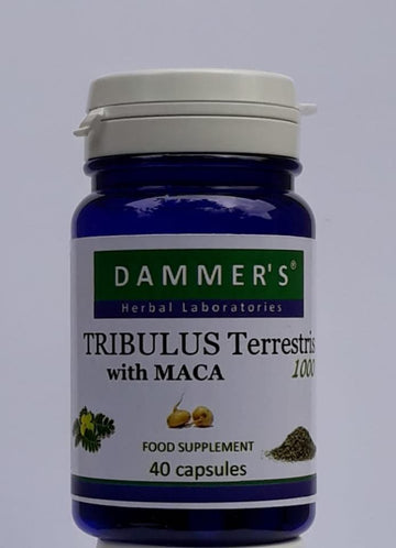 Dammers Tribulus Terrestris kráľovská melancia 40 ks