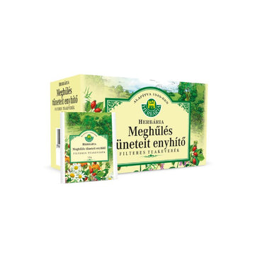 Herbária čajová zmes proti prechladnutiu 26 g (20 x 1.3 g) - 18997