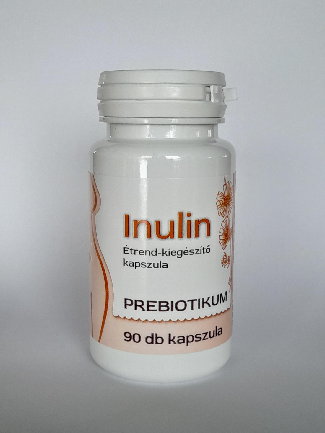 Inulín kapsuly 90