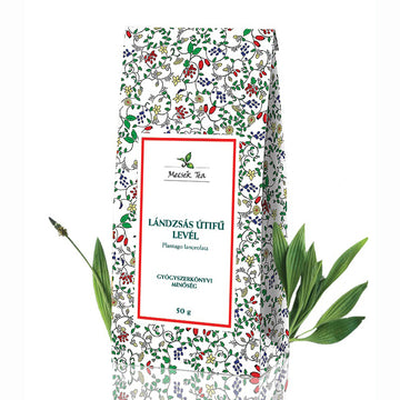 Mecsek Skorocelový čaj s listami 50 g - 53115