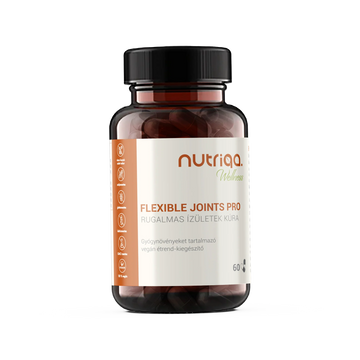 Nutriqa flexible joint pro liečba pružných kĺbov vegánske kapsule 60 š. š.