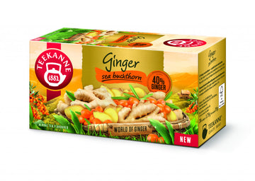 Teekanne ginger sandbox chuť ginger čaj 35 g