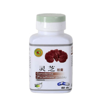 Big Star ganoderma 60 kapsúl