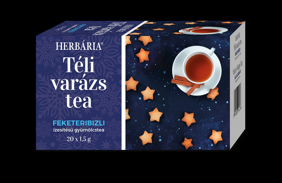 Herbária zimné kúzlo čaj s príchuťou čiernych ríbezlí 20x1,5g 30 g - 28156