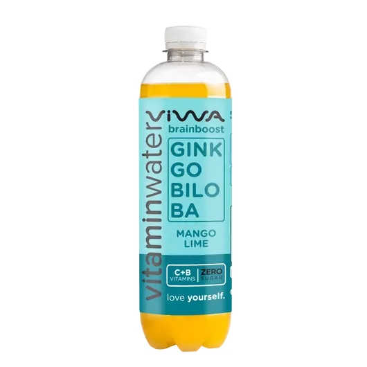 Viwa brainboost ginkgo biloba zelený čaj vitamínová voda 600 ml